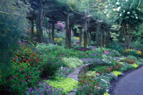colorful flower garden
