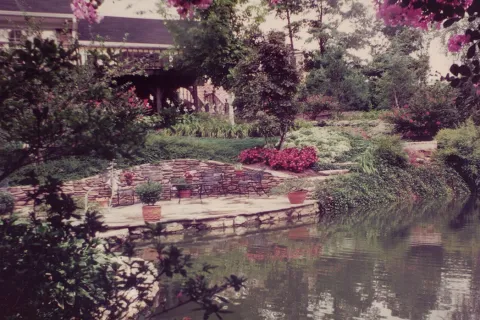 an outdoor garden