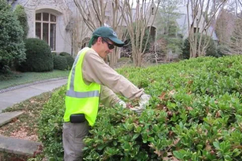 a man standing next to a bush