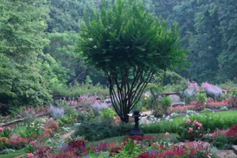 a large flower garden