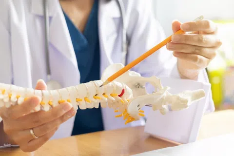 Doctor demonstrating spine anatomy using a model and pencil in a clinical setting for patient education.