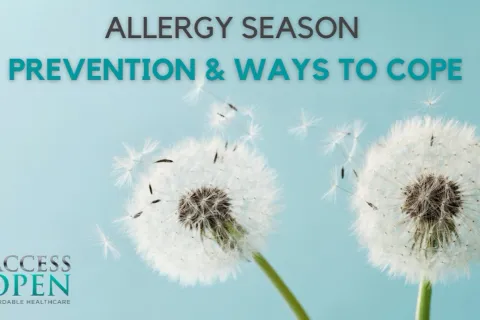 Allergy Season - Prevention and Ways to Cope