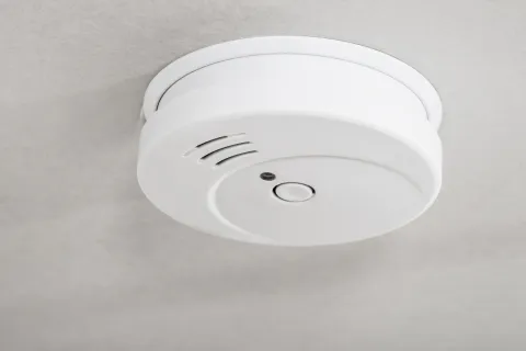 White smoke detector mounted on a ceiling with a test button and ventilation slots.