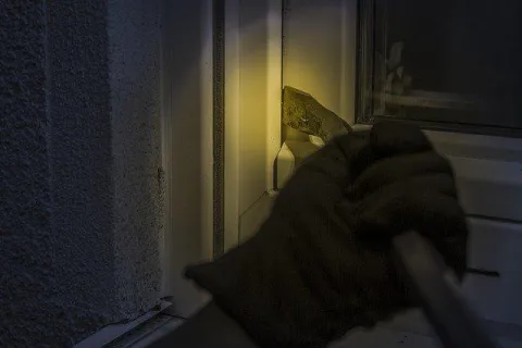 a thief breaking into a house