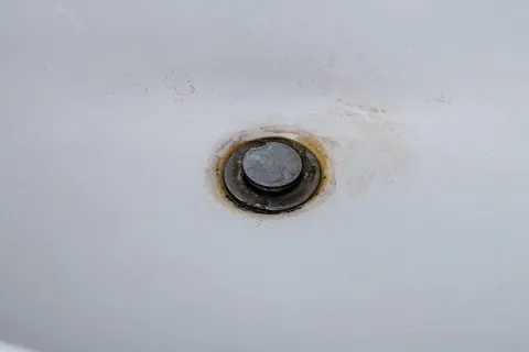 What Causes Black Mold in Sink Drains?
