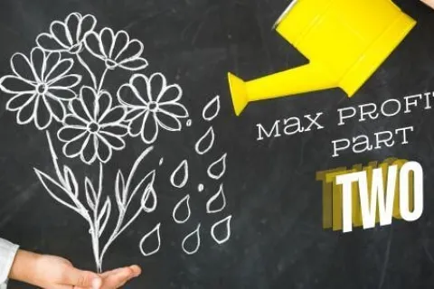 Yellow watering can watering chalk-drawn flowers with text Max Profits: Part Two on blackboard background