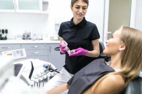 A dentist demonstrating dental models to a patient in a modern clinic setting.