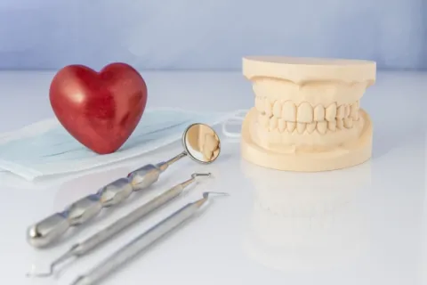 A dental model, tools, and a heart shape on a table, symbolizing dental health and care.