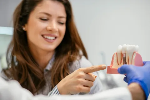 A dentist showing a patient a dental model of teeth and gums during a consultation.