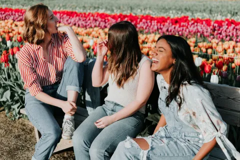 Three young women enjoy laughing together while sitting on a bench in a vibrant tulip field on a sunny day.