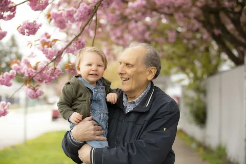 Grandfather happily holding toddler under blooming cherry blossom trees in springtime outdoor setting.
