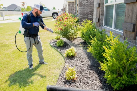 What Is The Difference Between Pest Control And An Exterminator?