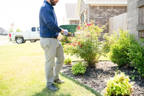 What to Expect From Quarterly Pest Control Services