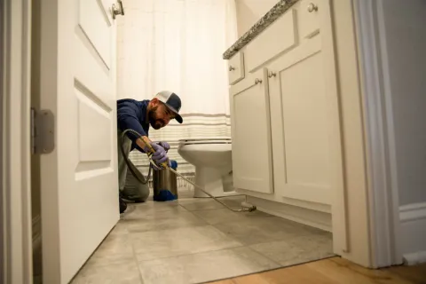 What Are The Three Types Of Pest Control?