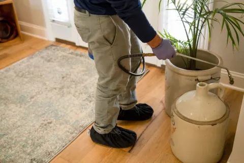 5 Tips To Help You Banish Bugs From Your Garage