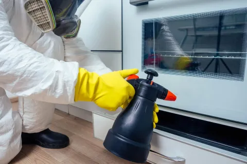 What’s Included In Pest Control?