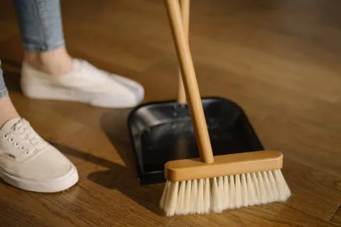 Should I Clean The House Before Or After Pest Control Treatments?