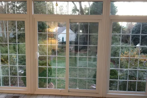 a group of windows with trees outside