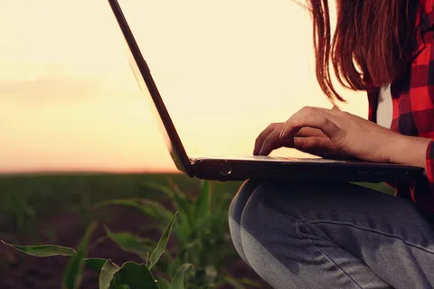 Person working on a laptop in a field at sunset wearing a red plaid shirt and jeans.