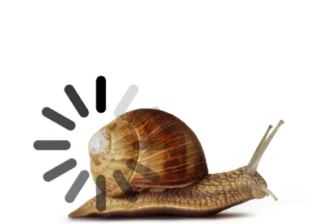 Snail crawling on a white background with a digital loading spinner overlay suggesting slow progress or buffering