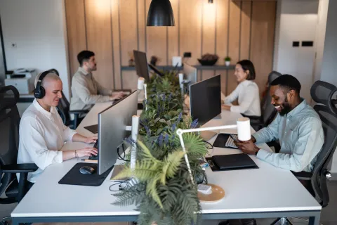 Diverse group of professionals working at computers in a modern open office with plants separating desks.