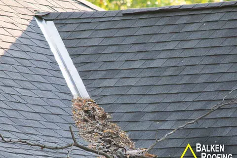 Bee swarm clustered on a residential asphalt shingle roof near a gutter during daytime.