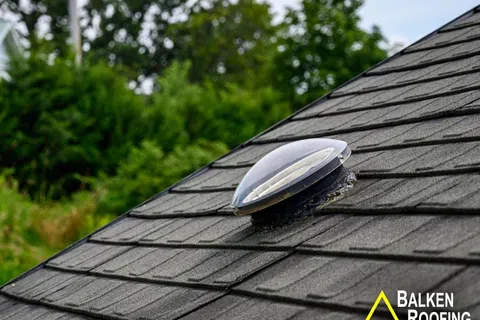 Black shingle roof with a round skylight dome under a clear sky and surrounding green trees.