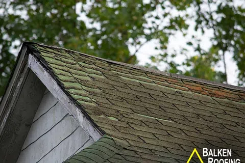 Close-up of a pitched roof with old, moss-covered shingles and weathered white siding beneath green trees.