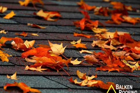 Orange and yellow autumn leaves scattered over dark gray asphalt roof shingles on a rooftop.