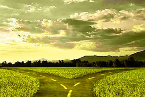 a road with grass and hills in the background