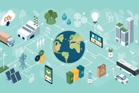 The Effects of the Zero-Waste Movement