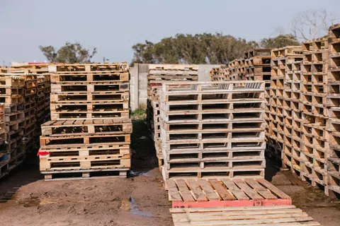 Stacks of wooden pallets arranged outdoors on muddy ground with trees in the background under clear sky.