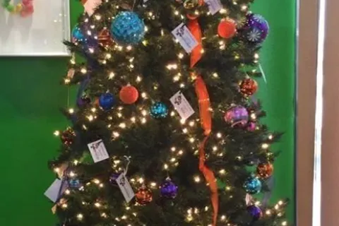 Decorated Christmas tree with multicolor ornaments, orange ribbons, twinkling lights, and colorful ribbon topper indoors.