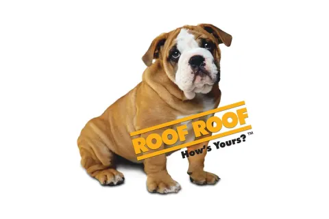 Findlay Roofing's Website Performs!