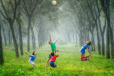 a group of kids playing with a ball in a grassy field
