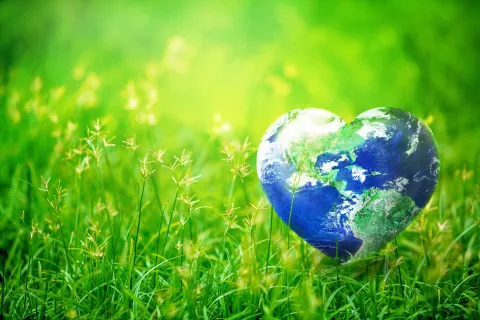 Change the World: Thrift Shop, Donate and Volunteer