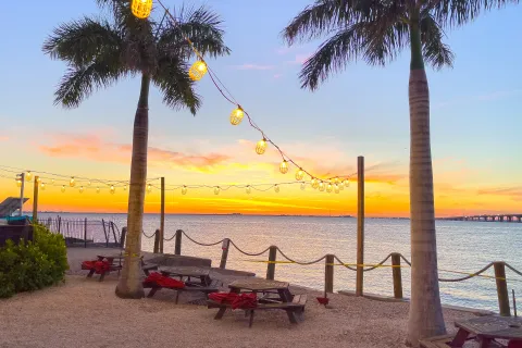 Beachside picnic area with palm trees, string lights, and sunset over calm water with a distant bridge.