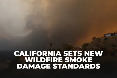 California wildfire smoke billows over hills as new damage standards are announced in bold white text.