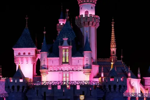 The Guest Experience per Disney
