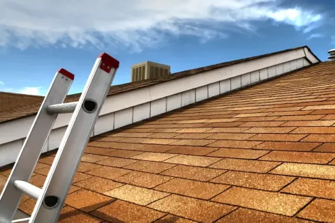 How Can I Tell If I Have Missing Roof Shingles?