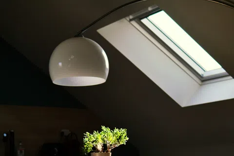 Modern indoor plant under a white dome lamp near a skylight window in a cozy attic room.