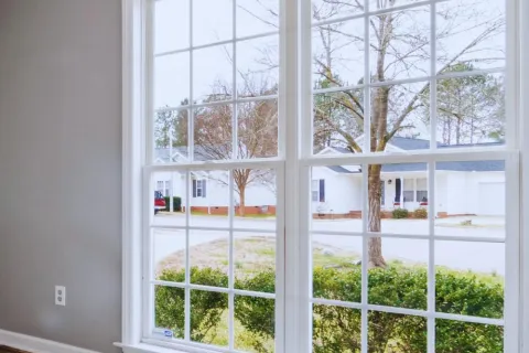 White-framed grid window with outdoor view of suburban houses, leafless trees, and green bushes on a clear day