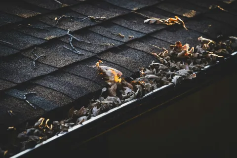 Close-up of roof shingles and gutter filled with autumn dry leaves under soft sunlight.