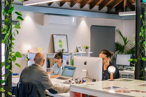 Modern office space with three professionals collaborating around laptops and desktop computers amid green plants.