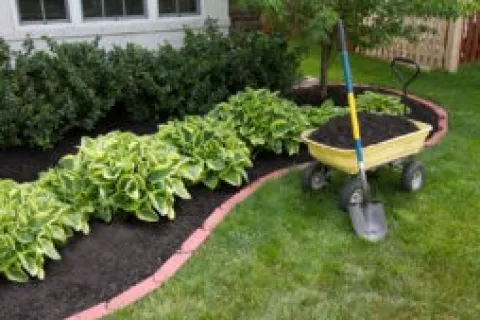 a wheelbarrow with dirt in it
