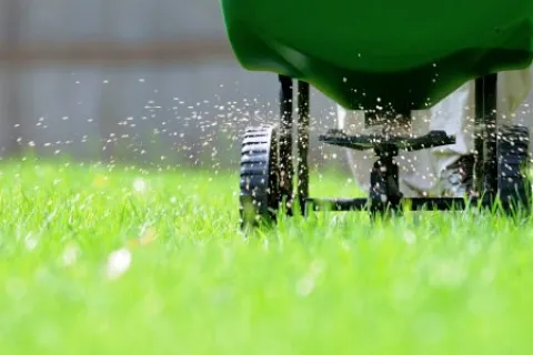 fertilizer