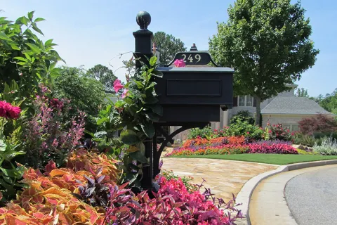 a pink flower is in a garden