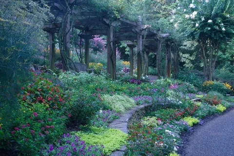 a colorful garden