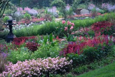 garden with flowers