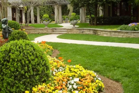 a close up of a flower garden